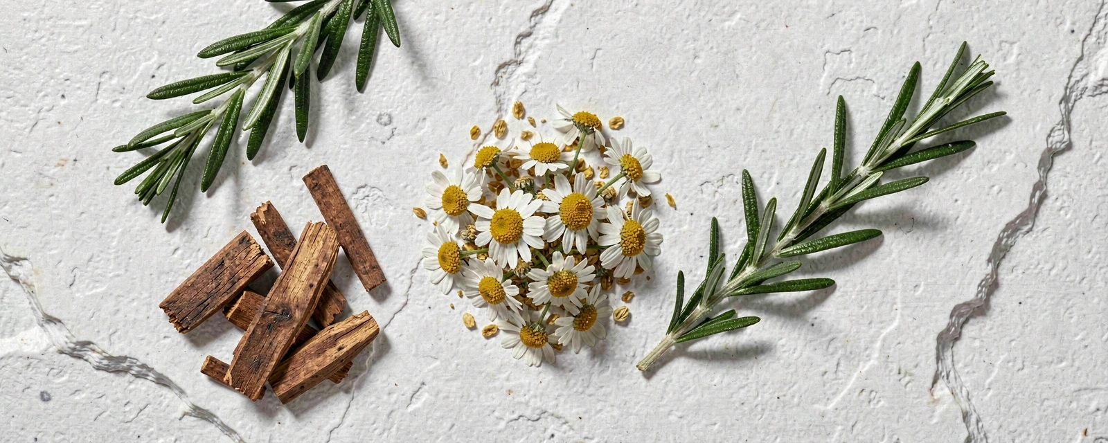 Přírodní složky pro péči o pleť